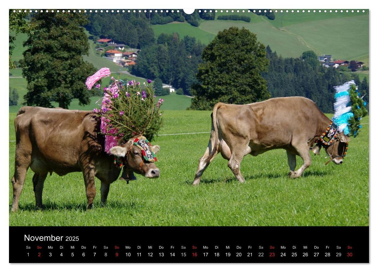 Bild: 9783435536597 | Almabtrieb in Tirol (Wandkalender 2025 DIN A2 quer), CALVENDO...