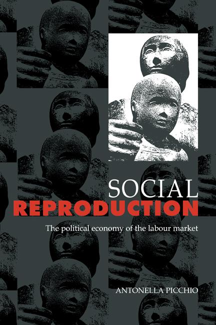 Cover: 9780521418720 | Social Reproduction | Antonella Picchio | Buch | Englisch | 2010