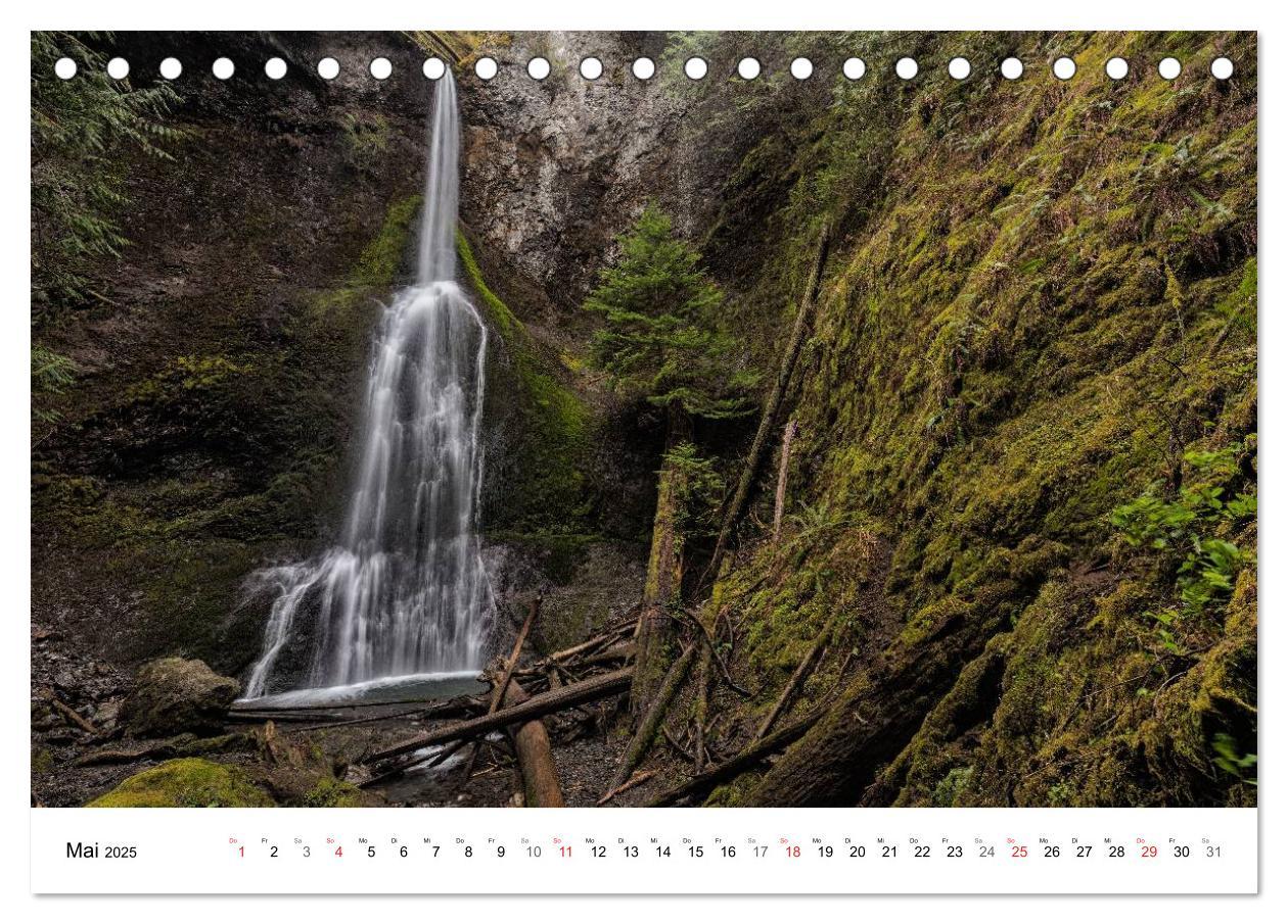 Bild: 9783435605187 | The Olympic National Park - Washington USA (Tischkalender 2025 DIN...