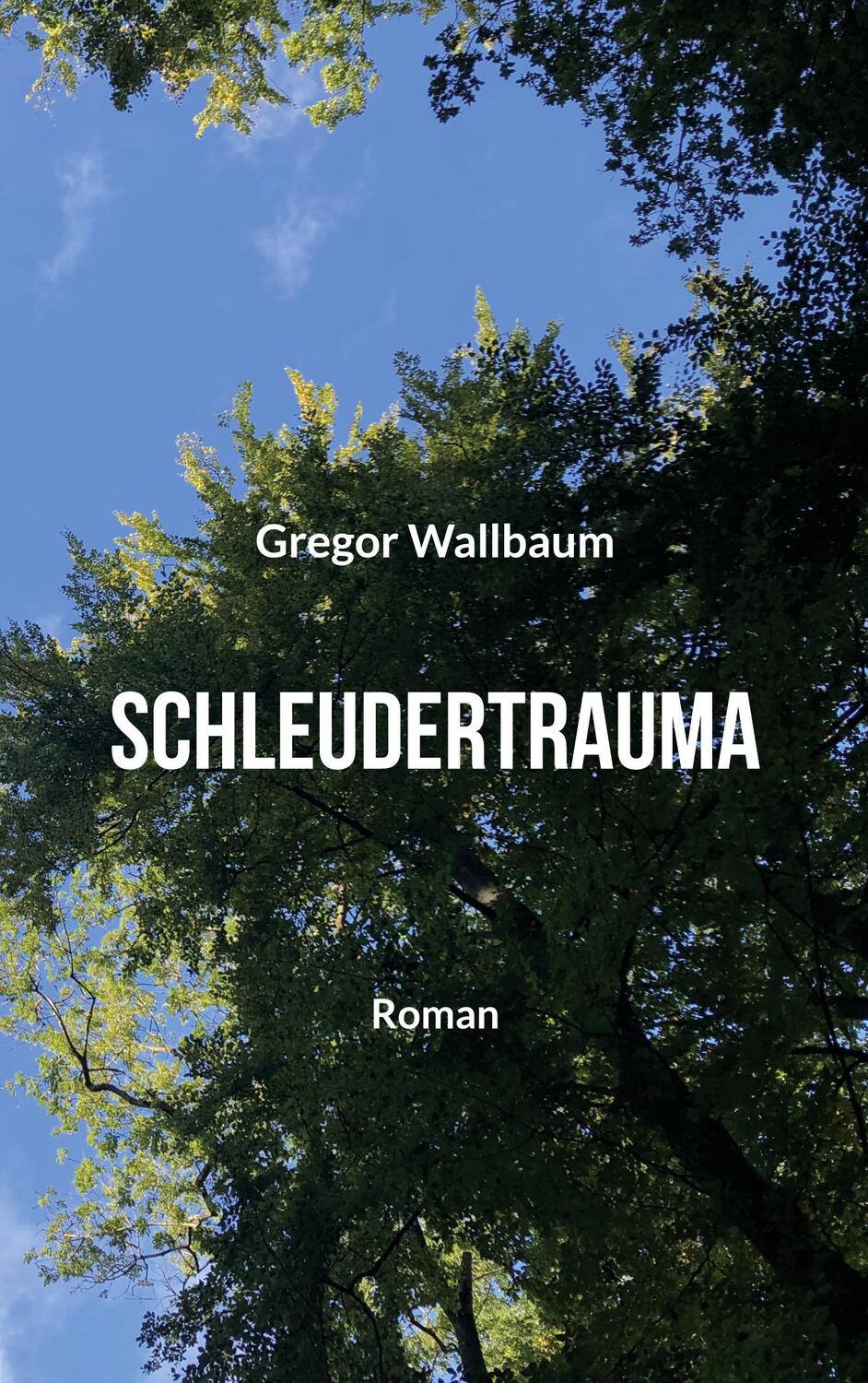 Cover: 9783756843404 | Schleudertrauma | Gregor Wallbaum | Taschenbuch | Paperback | Deutsch