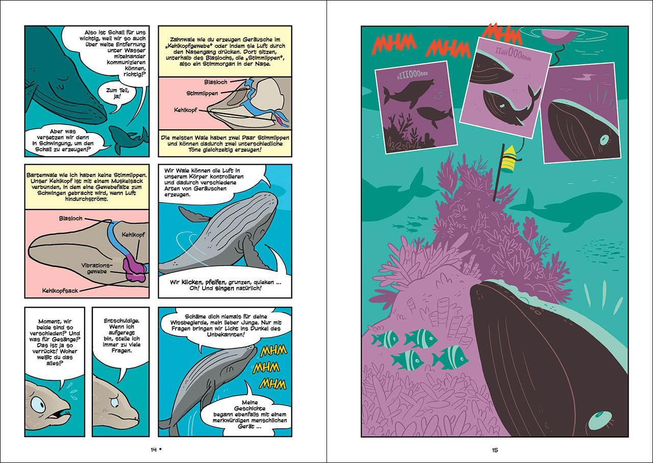 Bild: 9783743218000 | Superbrain-Comics - Die Geheimnisse der Wale | Casey Zakroff | Buch