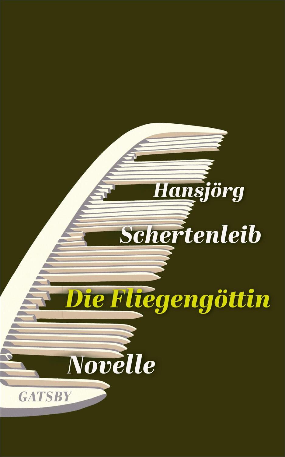 Cover: 9783311210023 | Die Fliegengöttin | Hansjörg Schertenleib | Buch | Deutsch | 2018