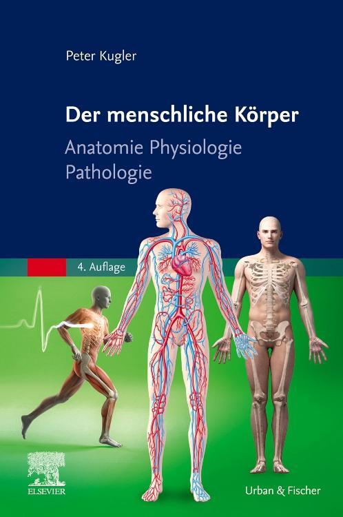 Cover: 9783437271137 | Der menschliche Körper | Anatomie Physiologie Pathologie | Kugler