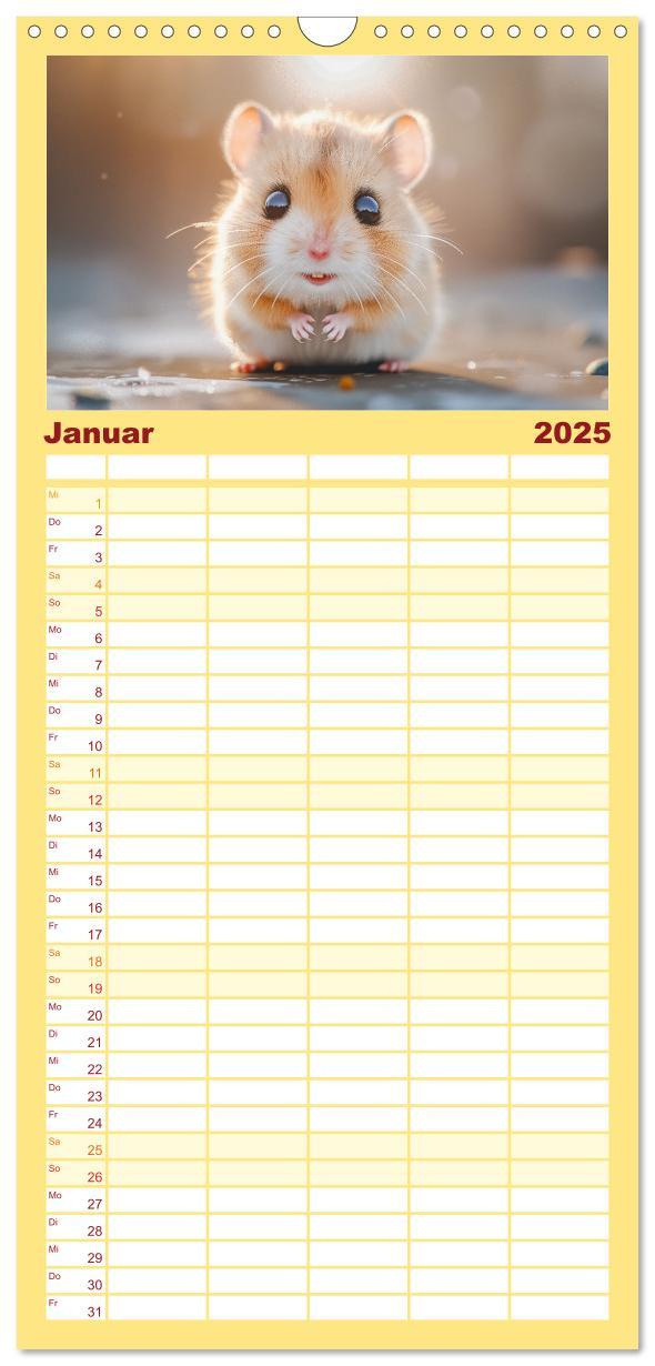 Bild: 9783457193341 | Familienplaner 2025 - Lustige Hamster mit 5 Spalten (Wandkalender,...