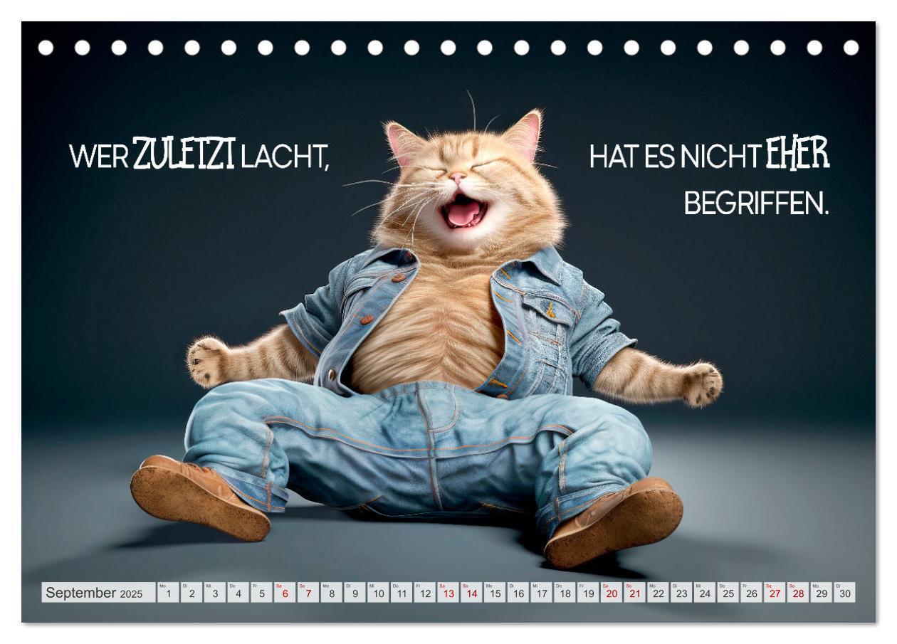 Bild: 9783383773518 | Süße Katzen und coole Sprüche (Tischkalender 2025 DIN A5 quer),...