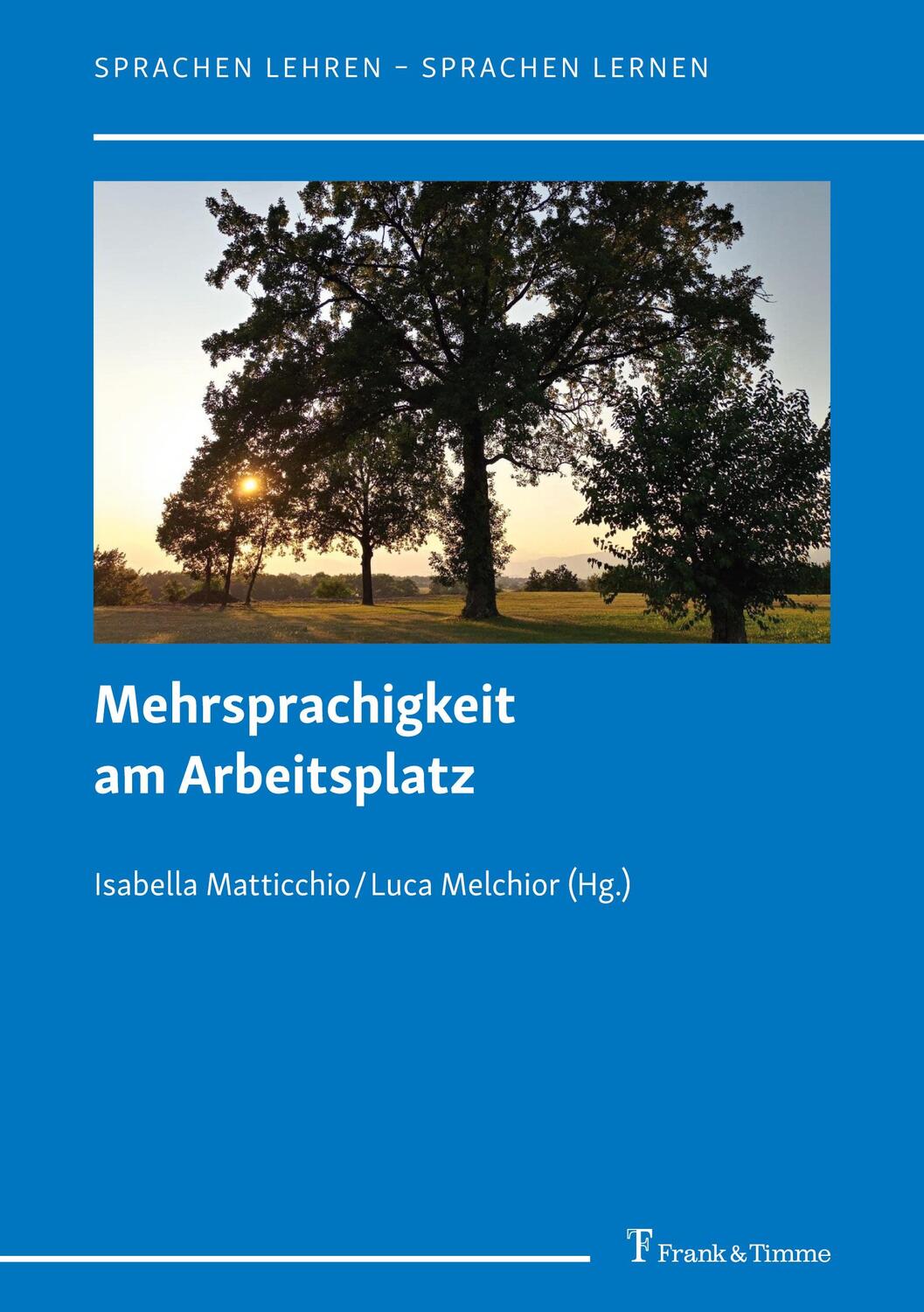 Cover: 9783732906444 | Mehrsprachigkeit am Arbeitsplatz | Isabella Matticchio (u. a.) | Buch