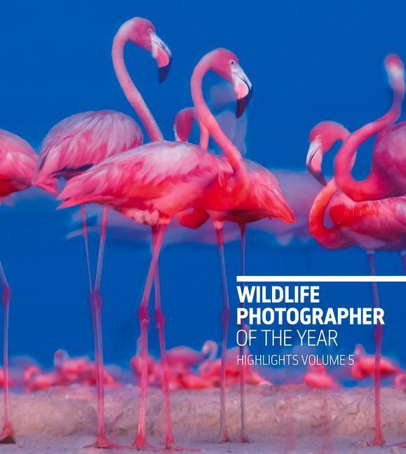 Cover: 9780565094874 | Wildlife Photographer of the Year: Highlights Volume 5 | Cox | Buch