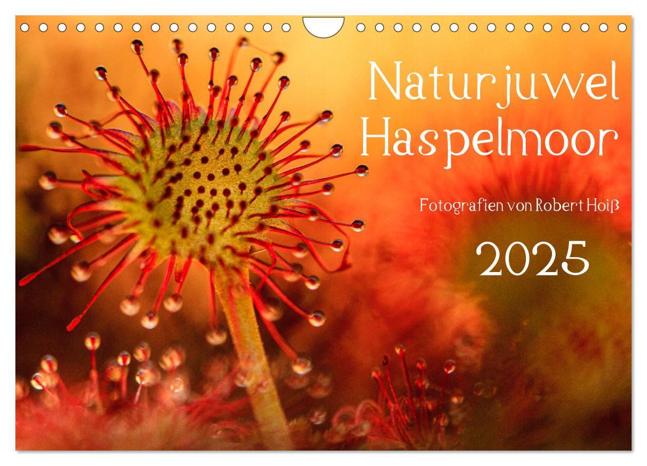 Cover: 9783383812101 | Naturjuwel Haspelmoor (Wandkalender 2025 DIN A4 quer), CALVENDO...