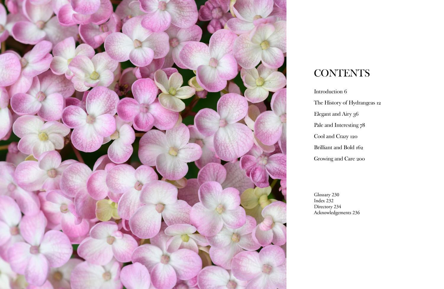 Bild: 9781911641230 | Hydrangeas | Beautiful Varieties for Home and Garden | Naomi Slade