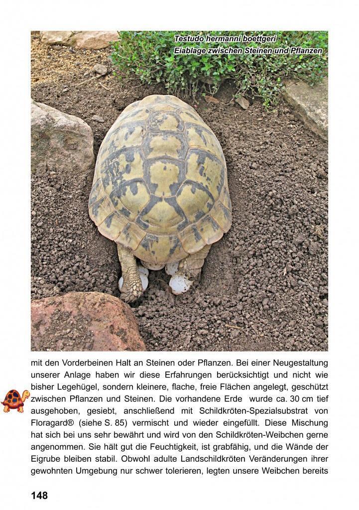 Bild: 9783000460555 | Landschildkröten-Freilandanlagen | Ricarda Schramm | Taschenbuch
