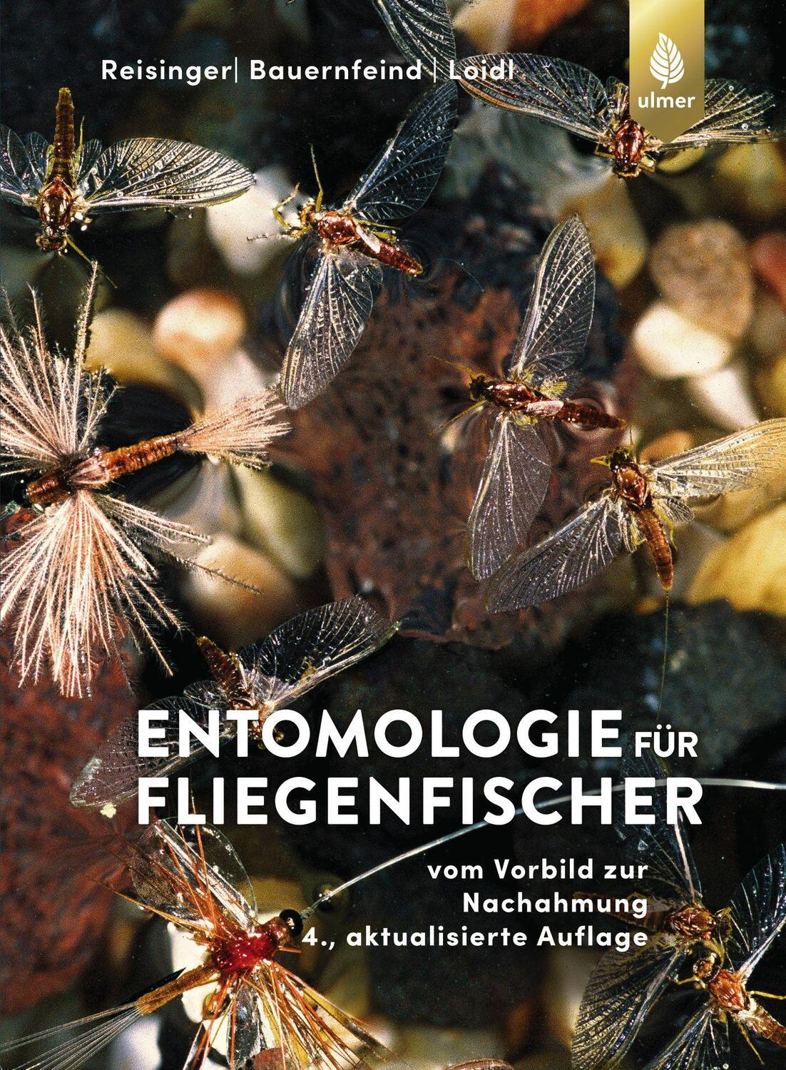 Cover: 9783818608385 | Entomologie für Fliegenfischer | Vom Vorbild zur Nachahmung | Buch