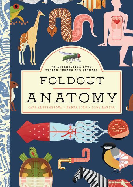 Cover: 9781638191292 | Foldout Anatomy: An Interactive Look Inside Humans and Animals | Buch