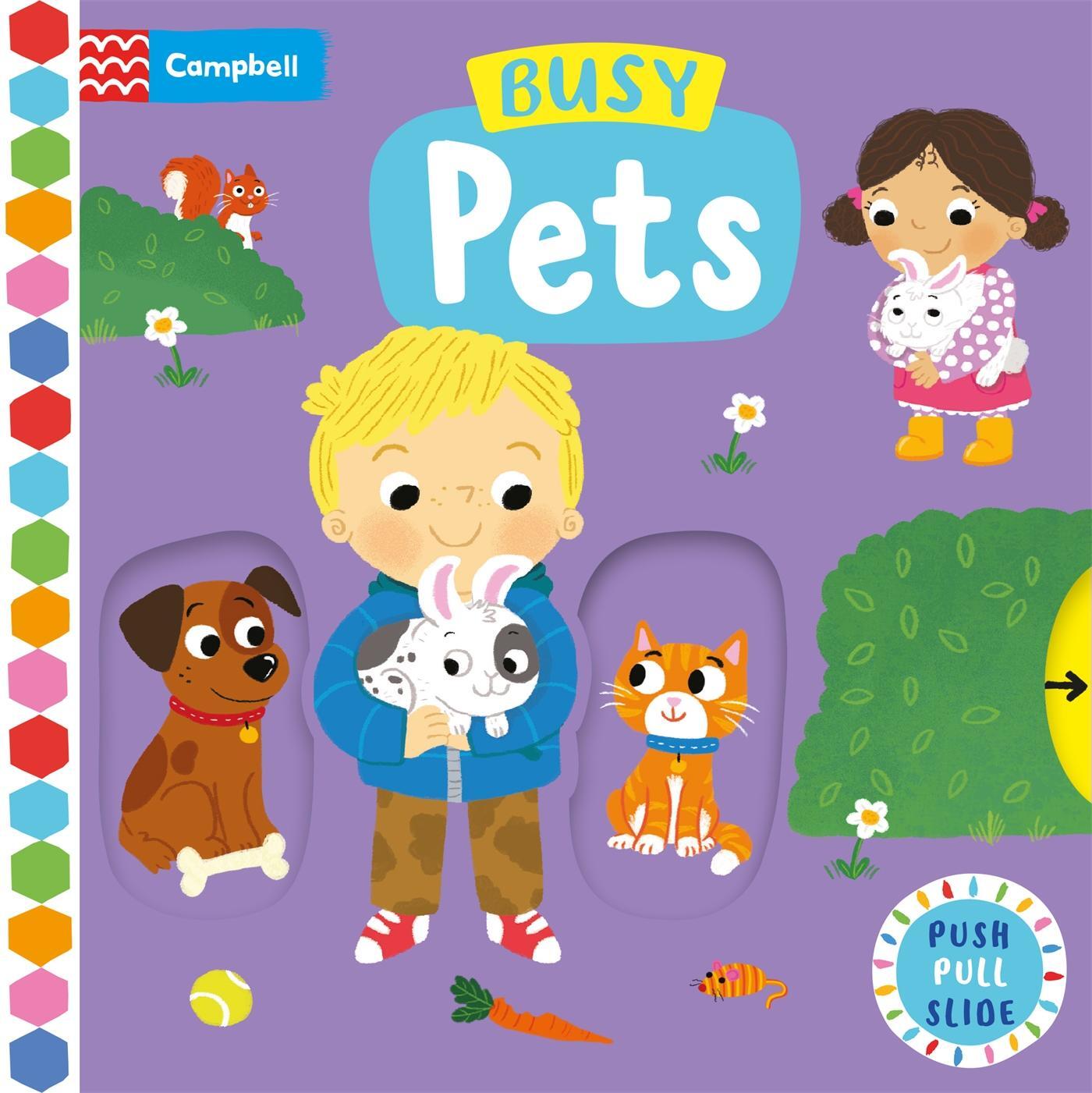 Cover: 9781529084658 | Busy Pets | Campbell Books | Buch | Campbell Busy Books | Englisch