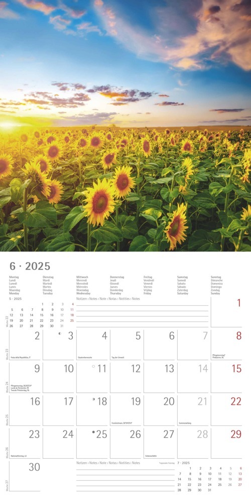 Bild: 4251732340902 | Alpha Edition - Sunny Moments 2025 Broschürenkalender, 30x30cm,...