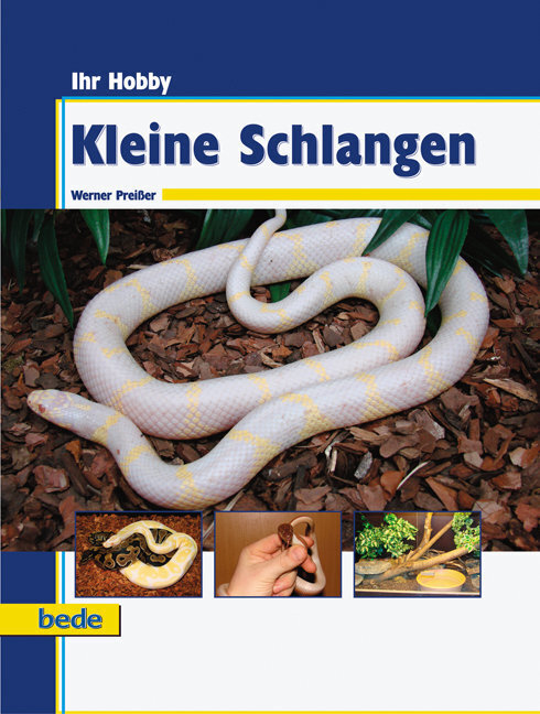 Cover: 9783898601641 | Ihr Hobby Kleine Schlangen | Werner Preißer | Buch | 96 S. | Deutsch