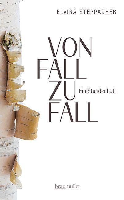Cover: 9783992003198 | Von Fall zu Fall. Ein Stundenheft | Elvira Steppacher | Buch | Deutsch
