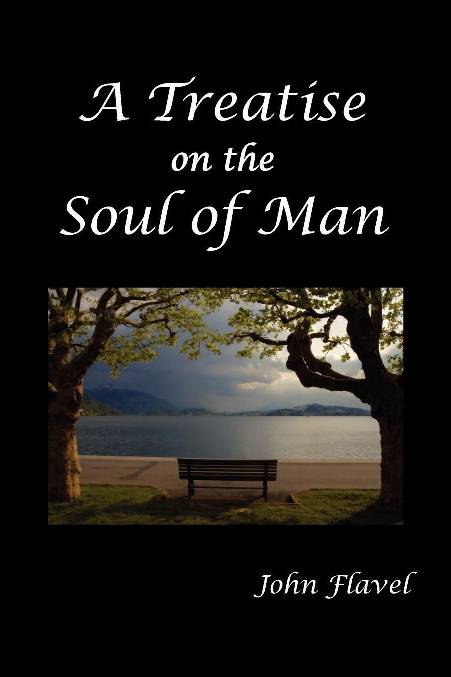 Cover: 9781849025881 | A Treatise of the Soul of Man | John Flavel | Taschenbuch | Paperback