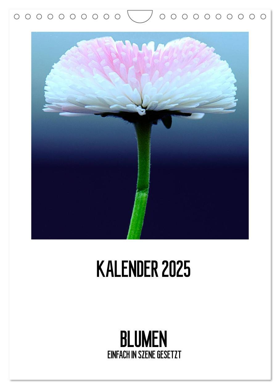 Cover: 9783457079928 | BLUMEN EINFACH IN SZENE GESETZT (Wandkalender 2025 DIN A4 hoch),...