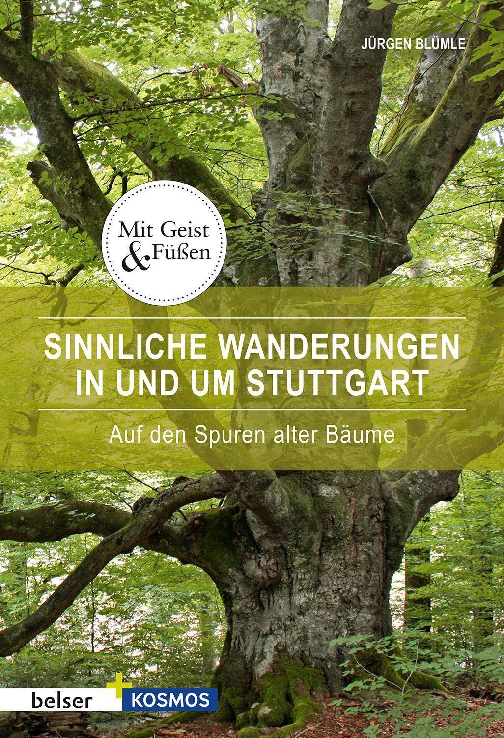 Cover: 9783989050303 | Sinnliche Wanderungen in und um Stuttgart | Auf den Spuren alter Bäume