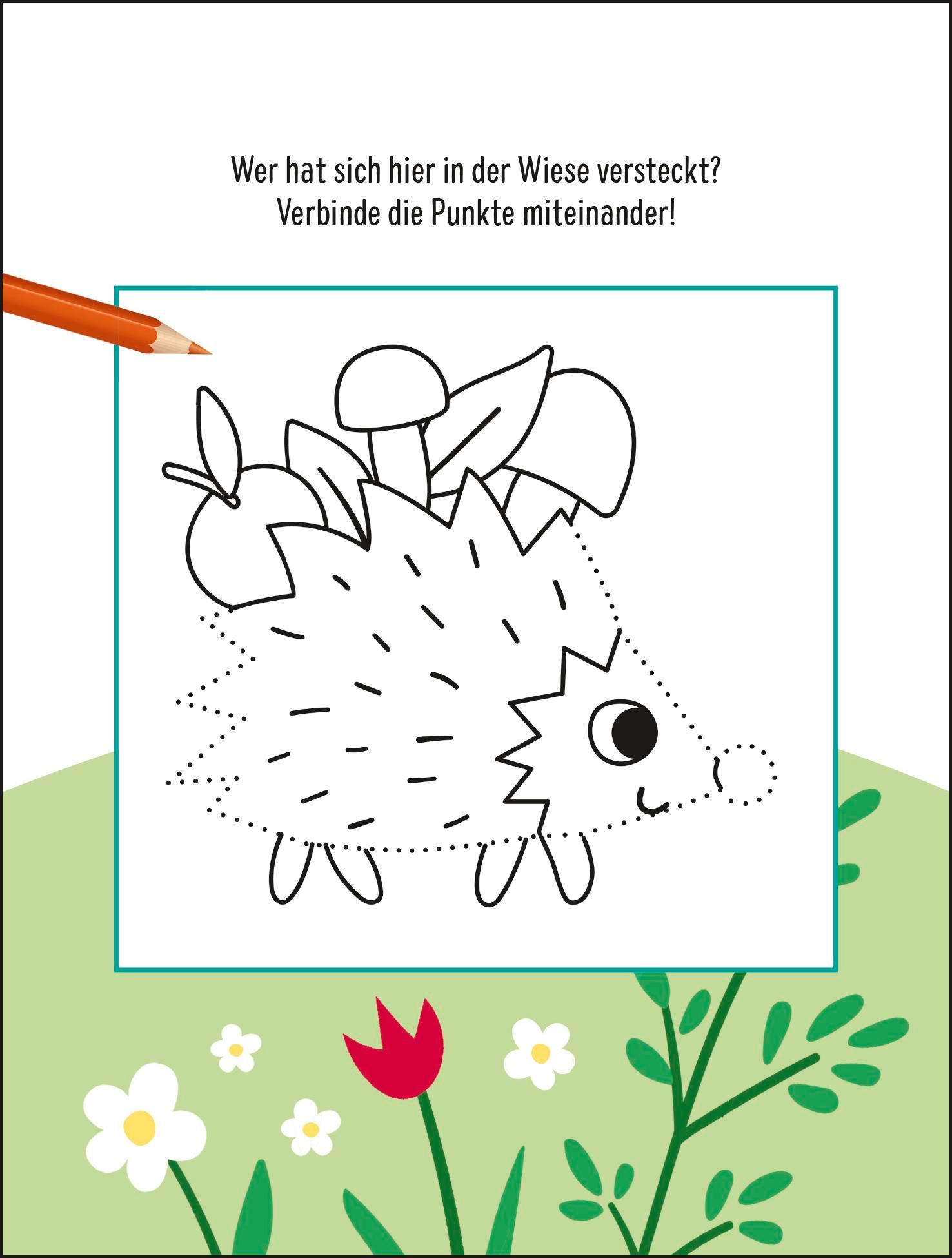 Bild: 9783629013002 | Mein lustiger Rätselspaß - Abenteuer im Wald | Pattloch Verlag | Buch