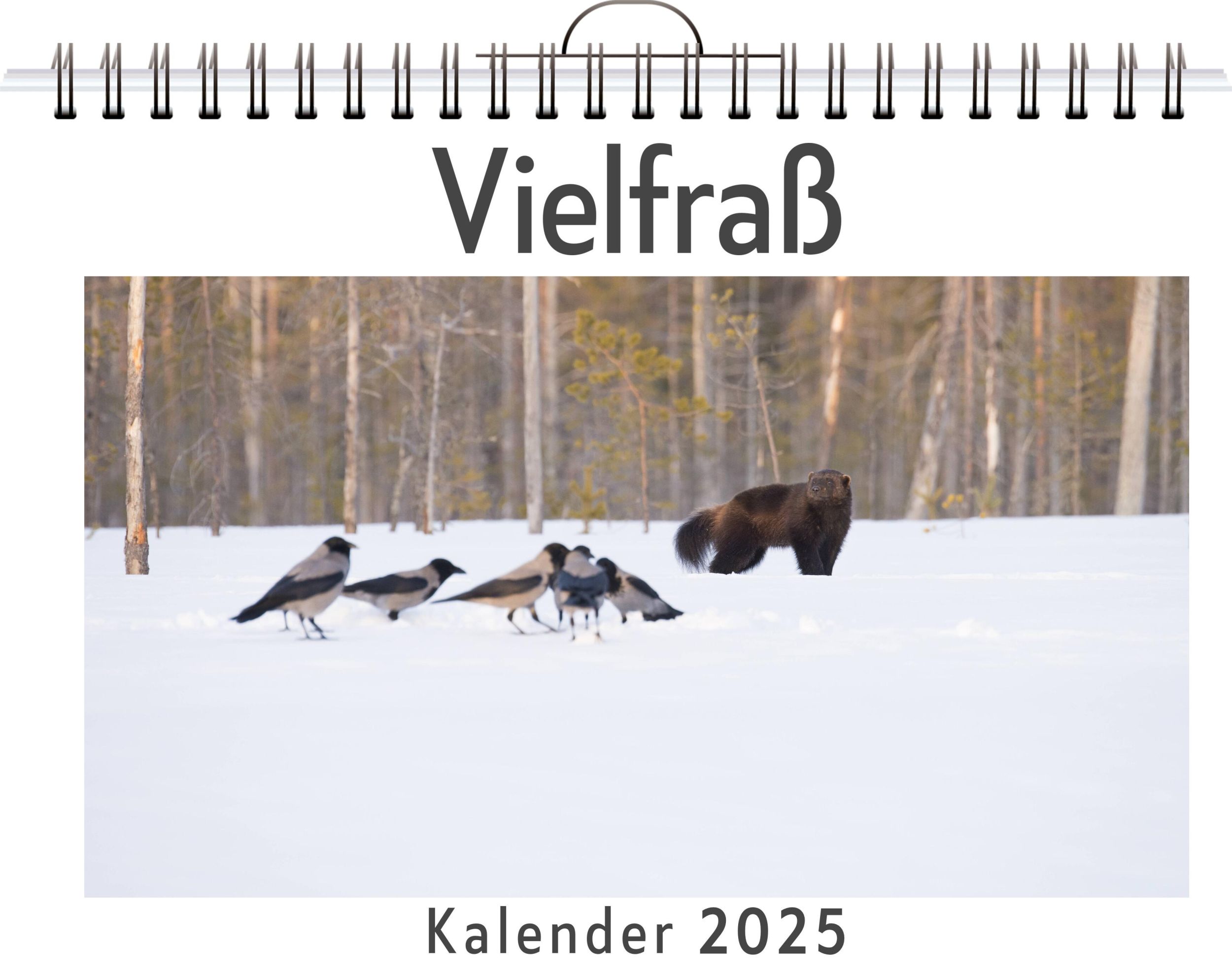 Cover: 9783759120533 | Vielfraß | Clara Neumann | Kalender | Kalender | 14 S. | Deutsch