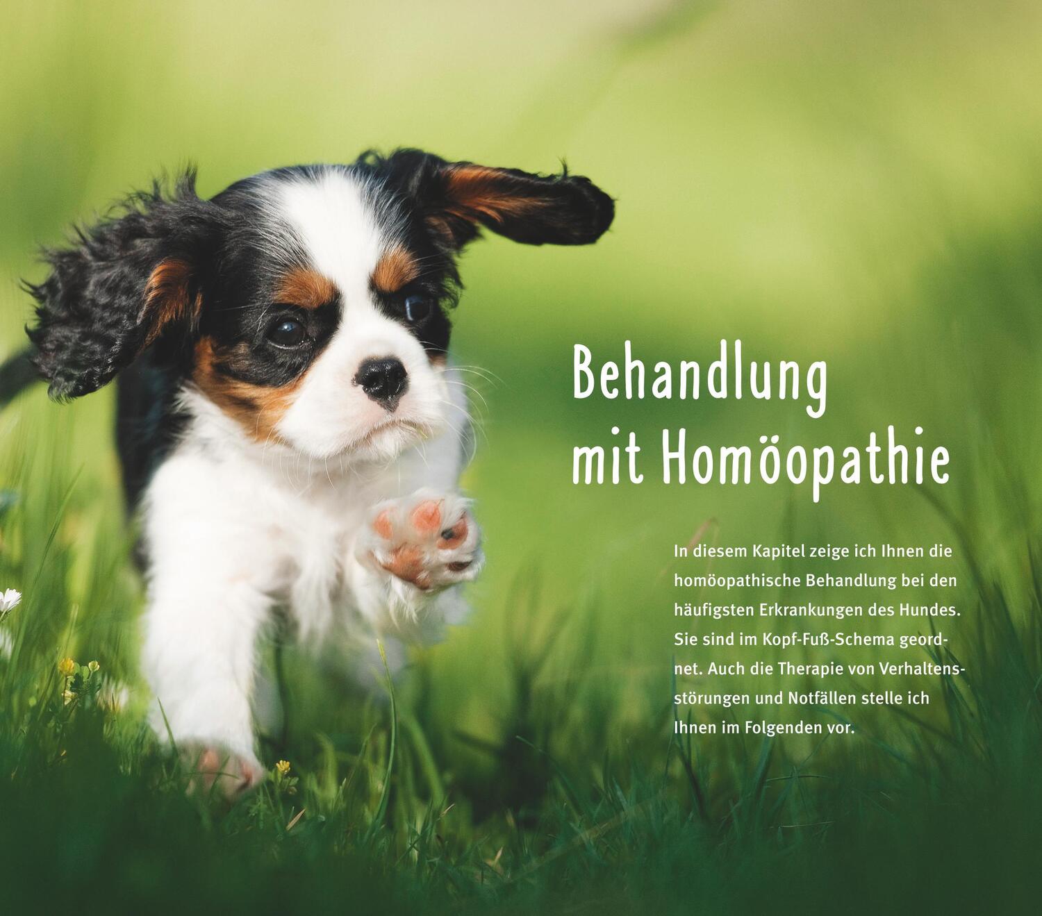 Bild: 9783833852169 | Homöopathie für Hunde | Sanfte Hilfe für Ihren Hund. Plus: Bach-Blüten