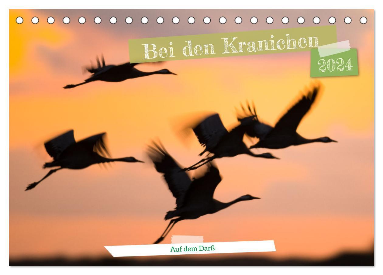 Cover: 9783675774087 | Bei den Kranichen (Tischkalender 2024 DIN A5 quer), CALVENDO...