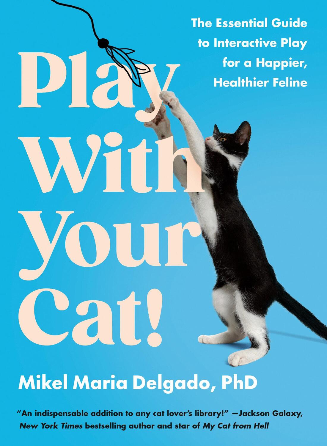 Cover: 9780593541333 | Play with Your Cat! | Mikel Maria Delgado | Taschenbuch | Englisch