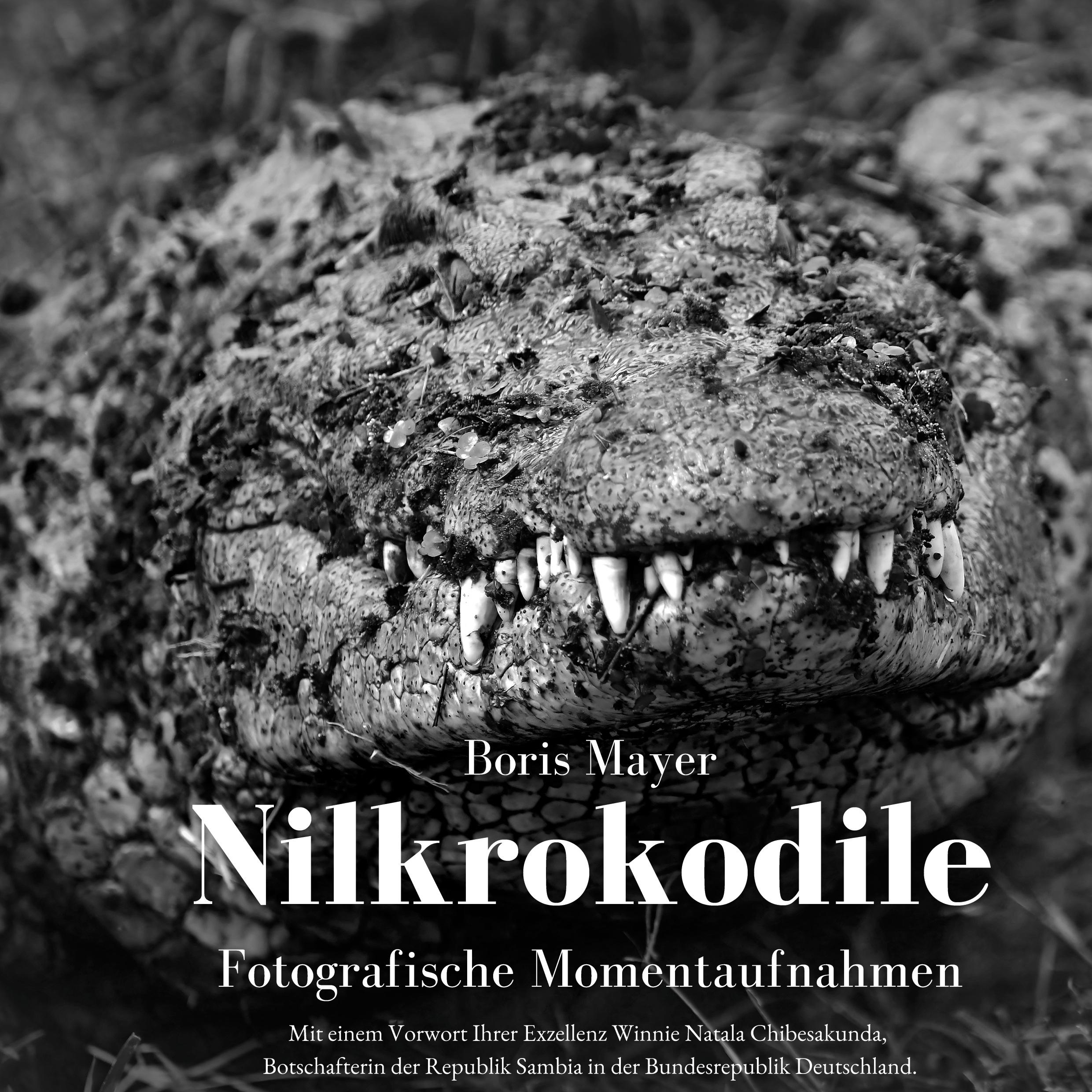 Cover: 9783759736253 | Nilkrokodile | Fotografische Momentaufnahmen | Boris Mayer | Buch