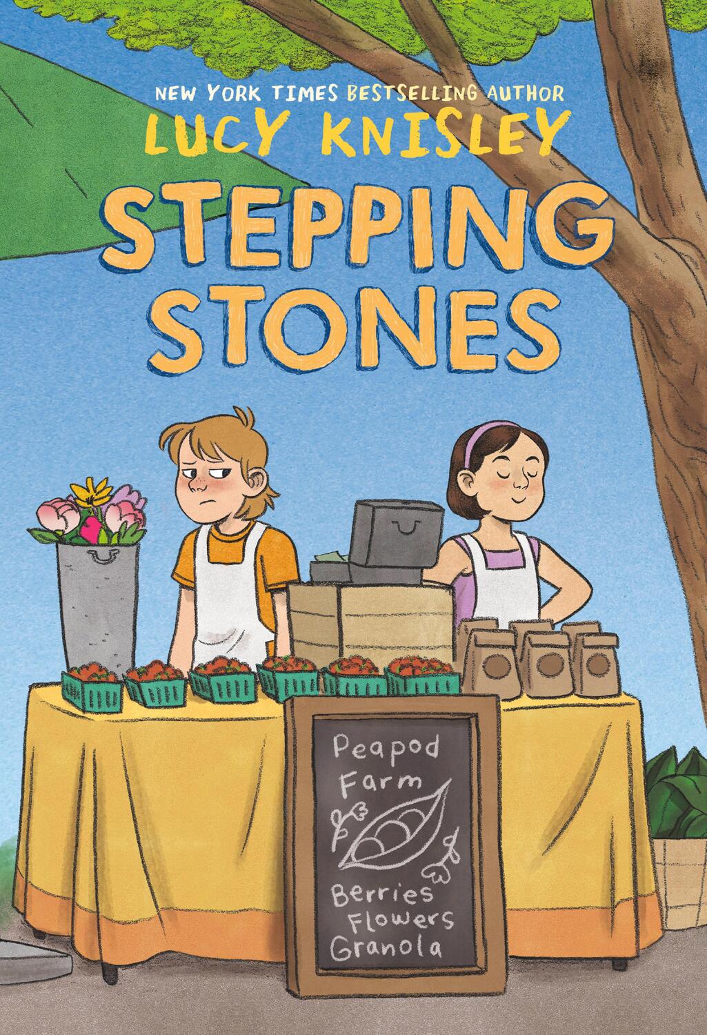 Cover: 9781984896841 | Stepping Stones | (A Graphic Novel) | Lucy Knisley | Taschenbuch