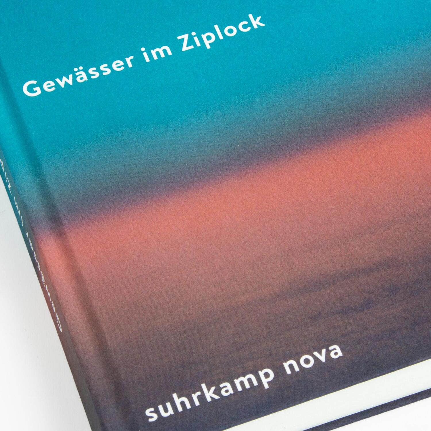 Bild: 9783518473603 | Gewässer im Ziplock | Dana Vowinckel | Buch | 362 S. | Deutsch | 2023