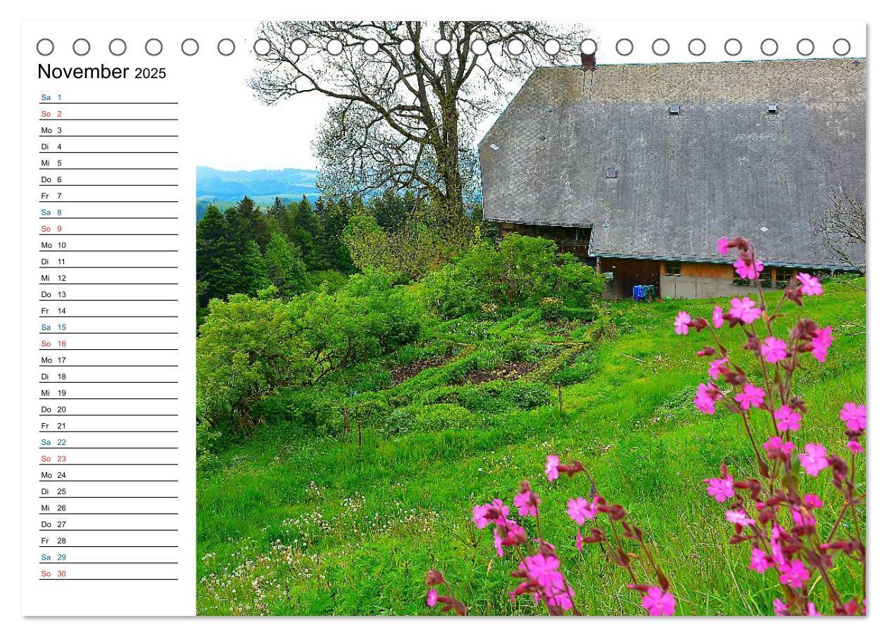 Bild: 9783435668861 | Landleben (Tischkalender 2025 DIN A5 quer), CALVENDO Monatskalender