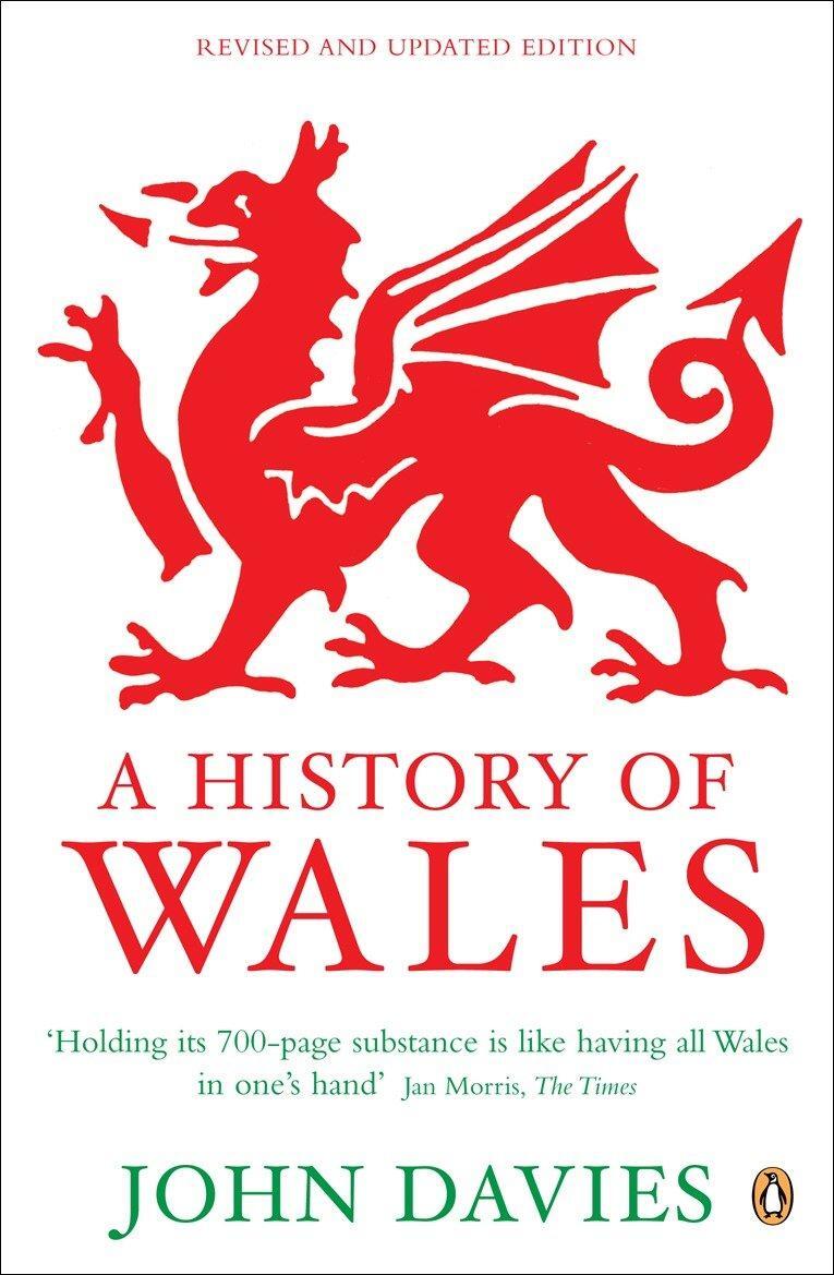 Cover: 9780140284751 | A History of Wales | John Davies | Taschenbuch | Englisch | 2007