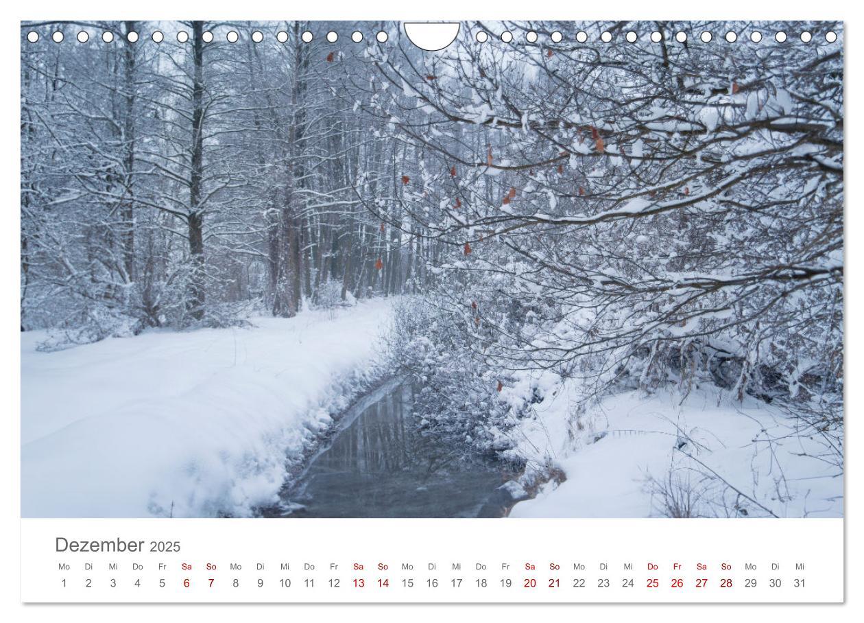 Bild: 9783457198599 | Spreewald - Ein Naturparadies (Wandkalender 2025 DIN A4 quer),...