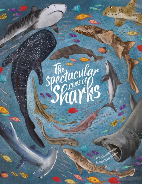 Cover: 9781914087479 | The Spectacular Lives of Sharks | Annabel Griffin | Buch | Gebunden