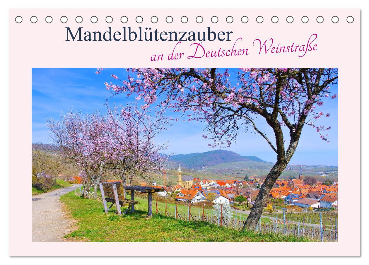 Cover: 9783383003820 | Mandelblütenzauber an der Deutschen Weinstraße (Tischkalender 2024...