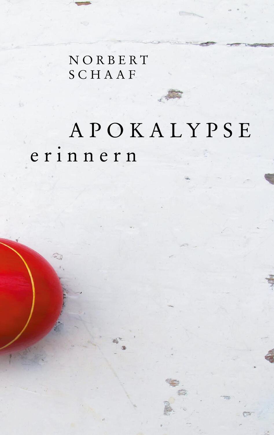 Cover: 9783752686319 | Apokalypse erinnern | Norbert Schaaf | Taschenbuch | Books on Demand