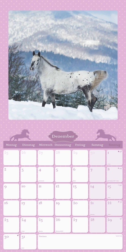 Bild: 4251732335533 | Mein Pferdekalender 2024 - Broschürenkalender 30x30 cm (30x60...