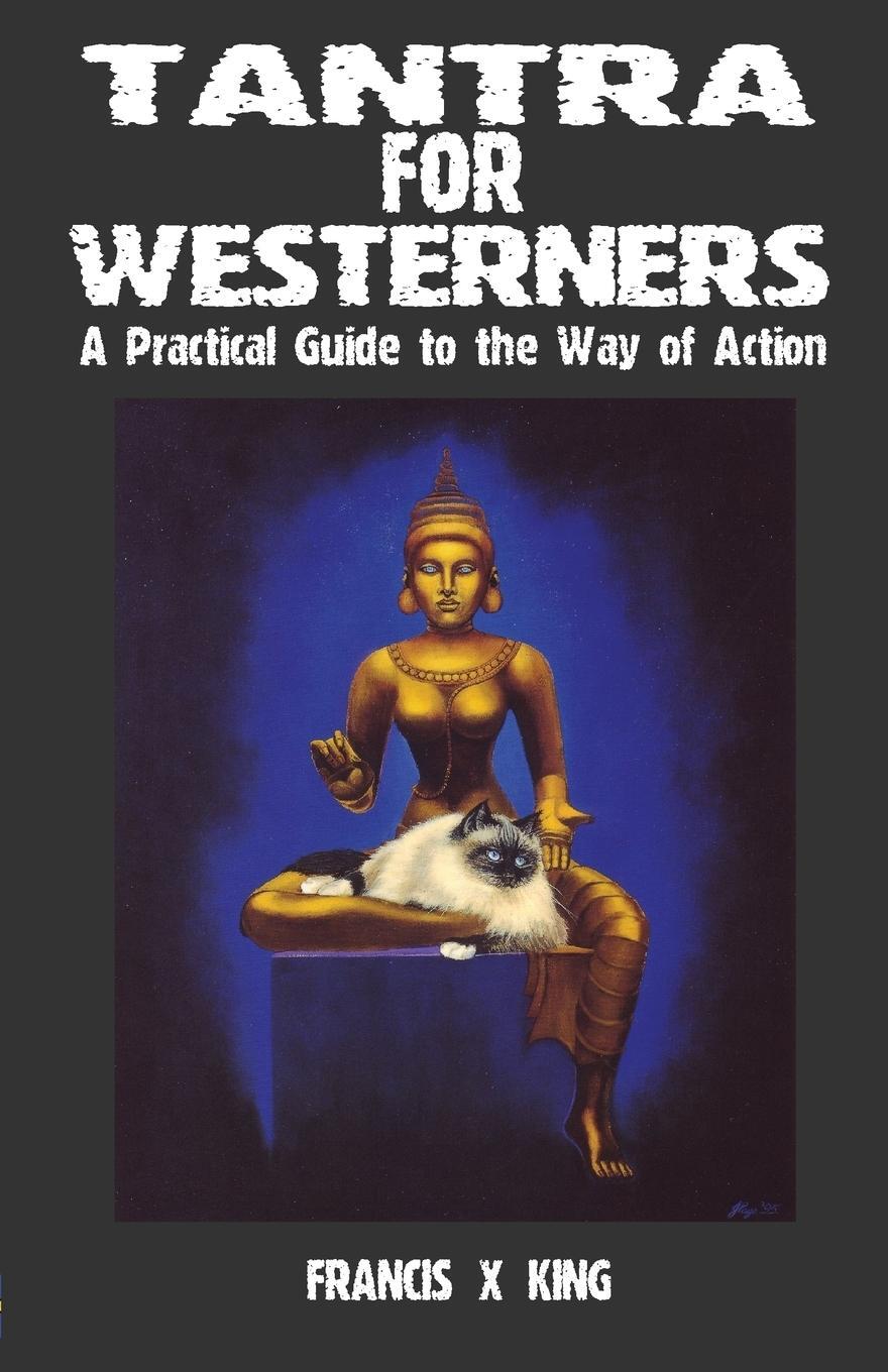 Cover: 9781869928605 | Tantra for Westerners | A Practical Guide to the Way of Action | Buch