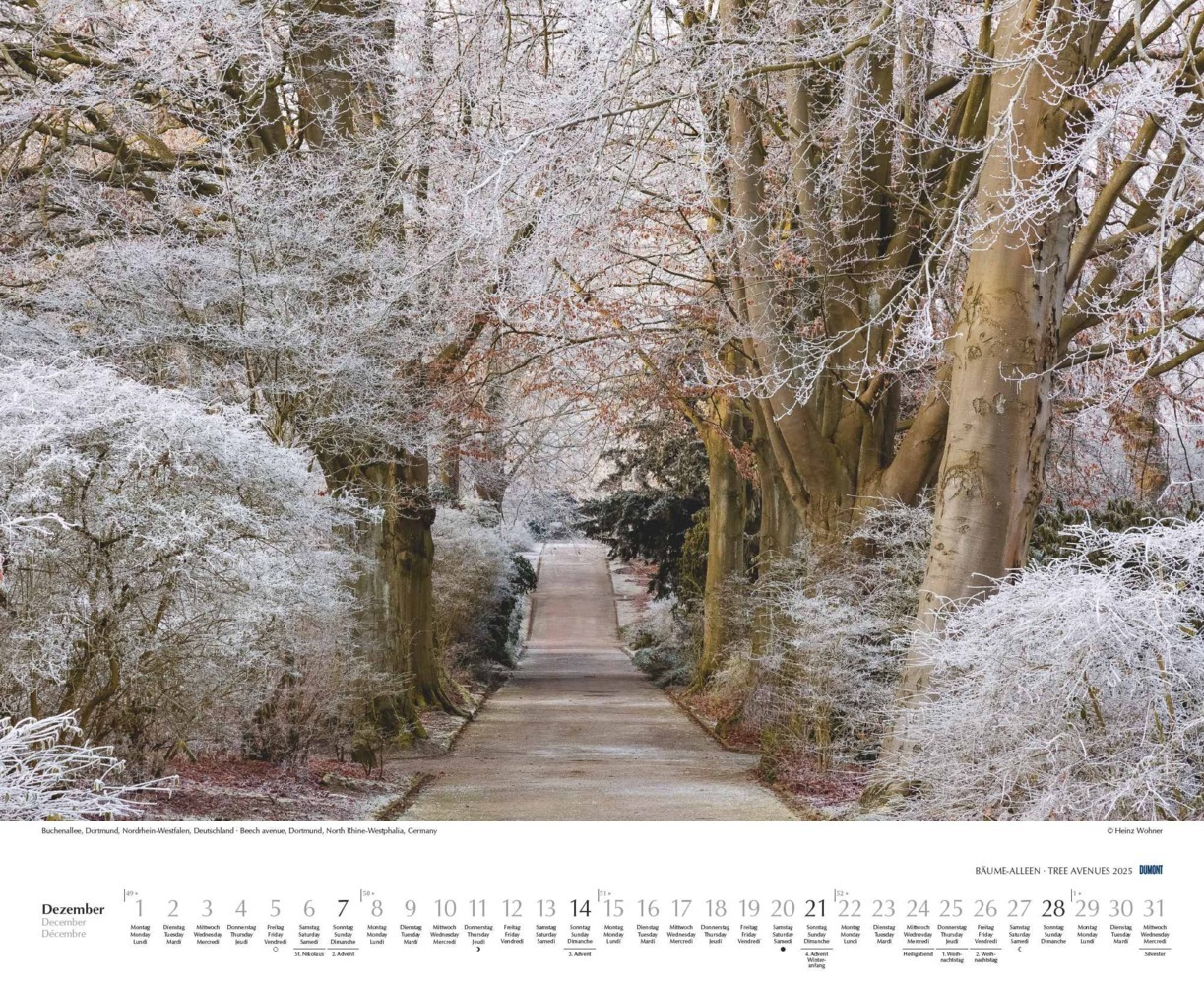 Bild: 4250809652702 | DUMONT - Bäume - Alleen 2025 Wandkalender 52x42,5cm, Kalender mit...