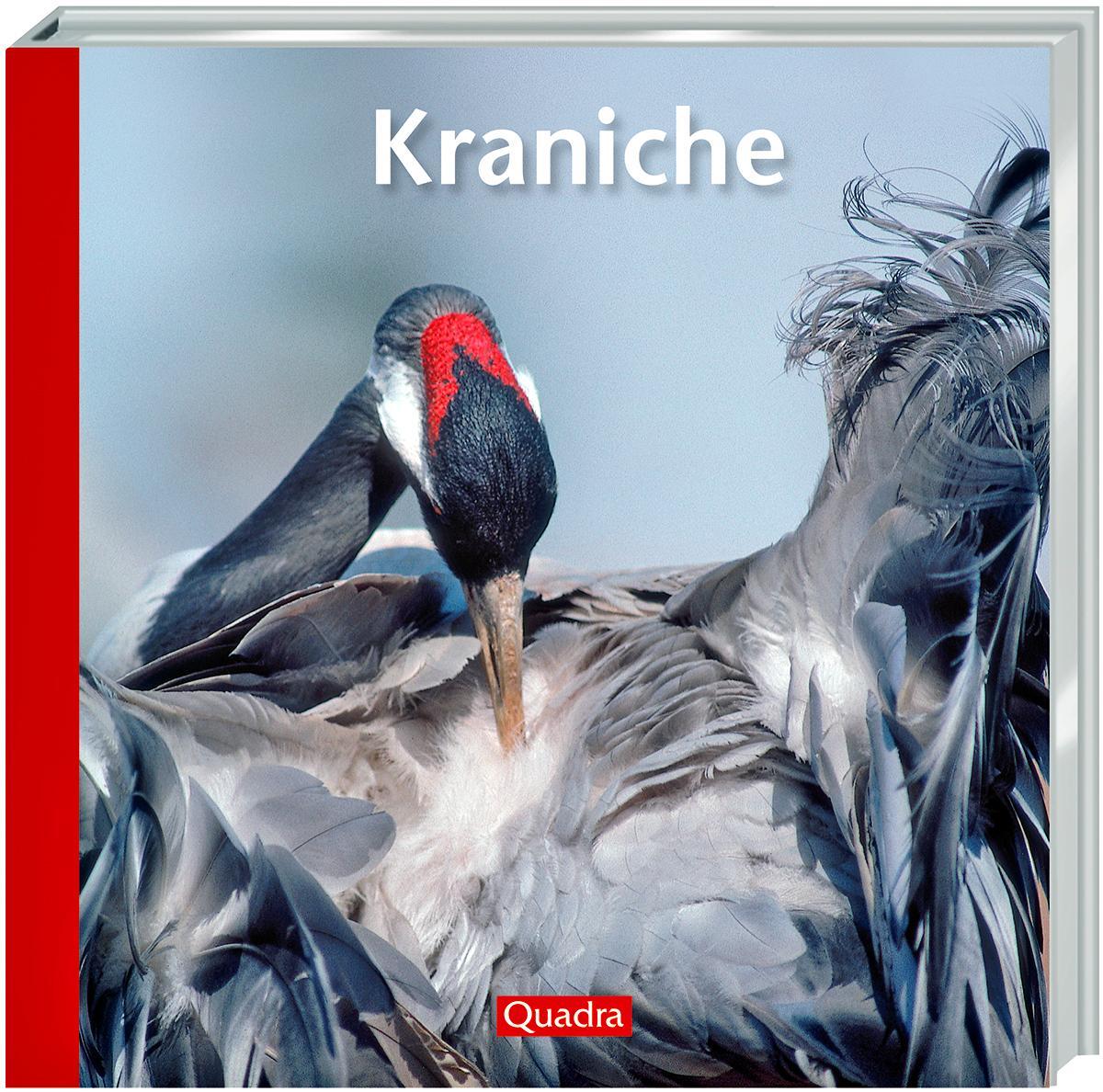 Cover: 9783939172161 | Kraniche | Hartmut Elsner | Buch | Deutsch | 2007 | EAN 9783939172161