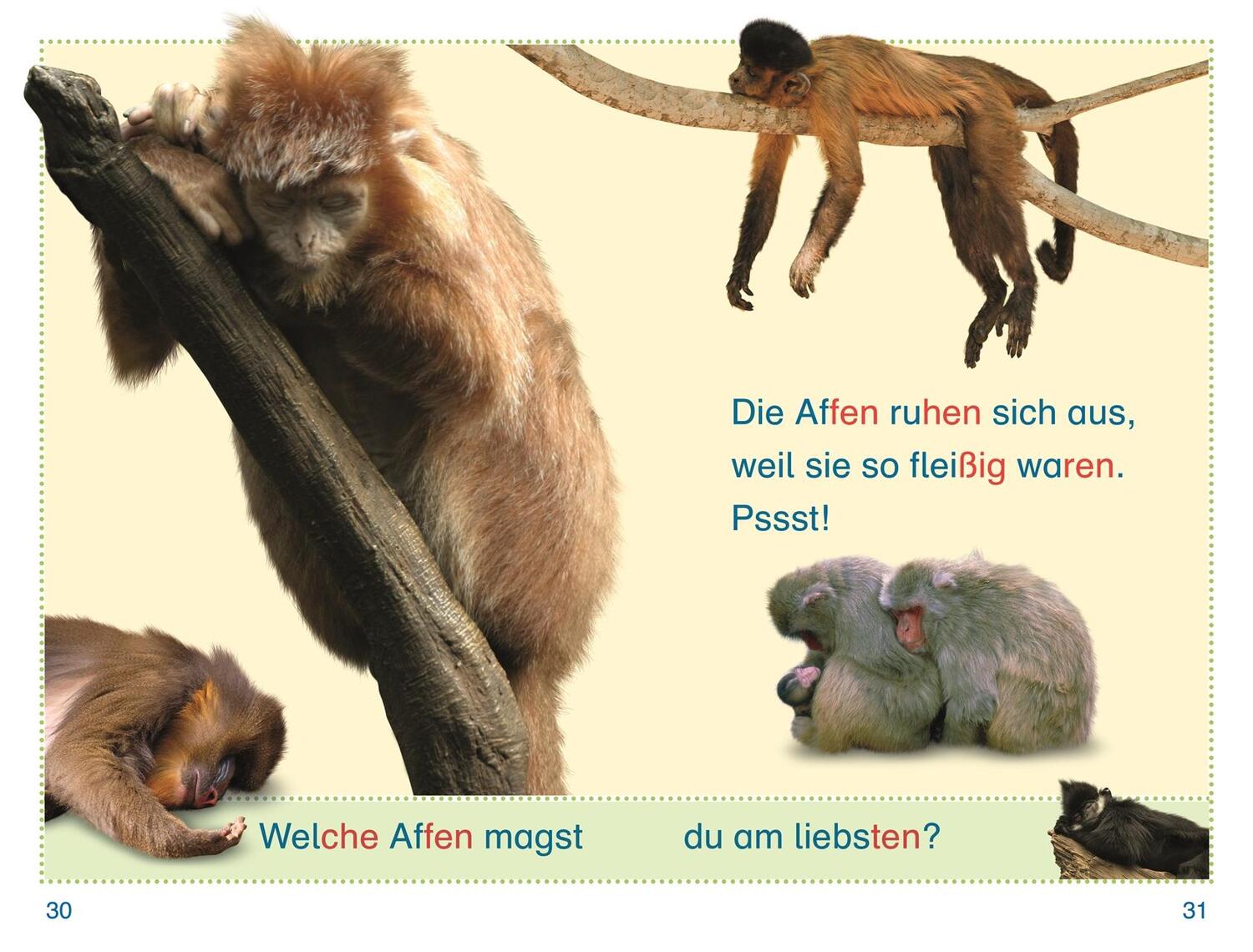 Bild: 9783831044719 | SUPERLESER! Zu Besuch bei den Affen | Elke Sagenschneider | Buch