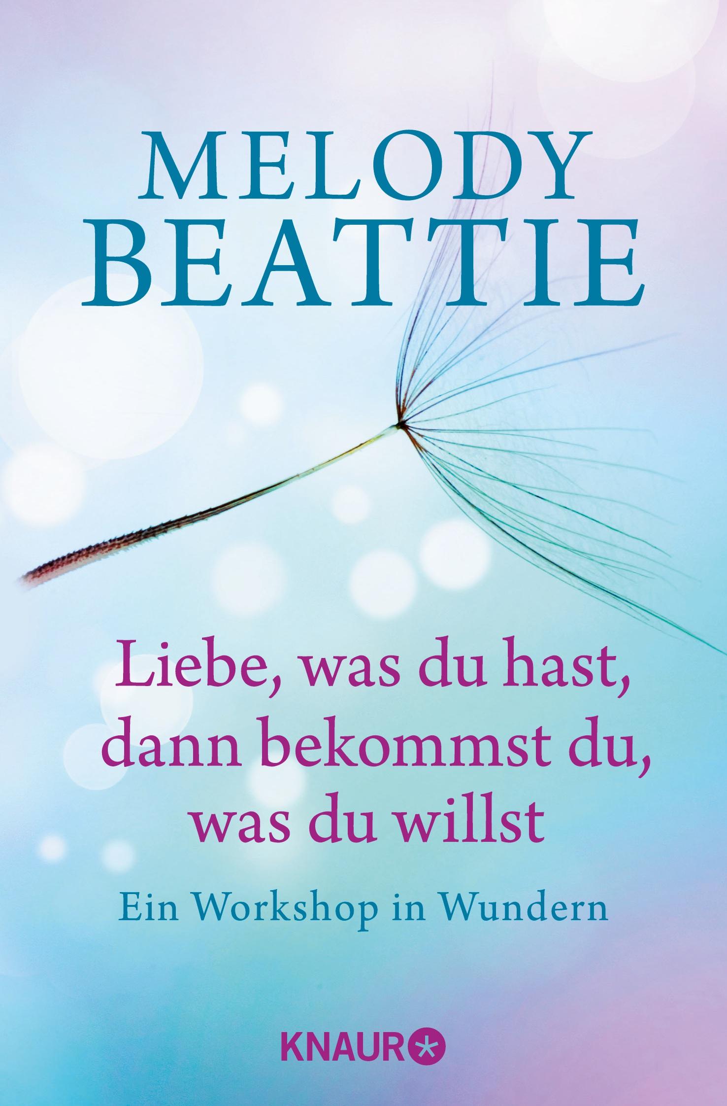 Cover: 9783426876169 | Liebe, was du hast, dann bekommst du, was du willst | Melody Beattie