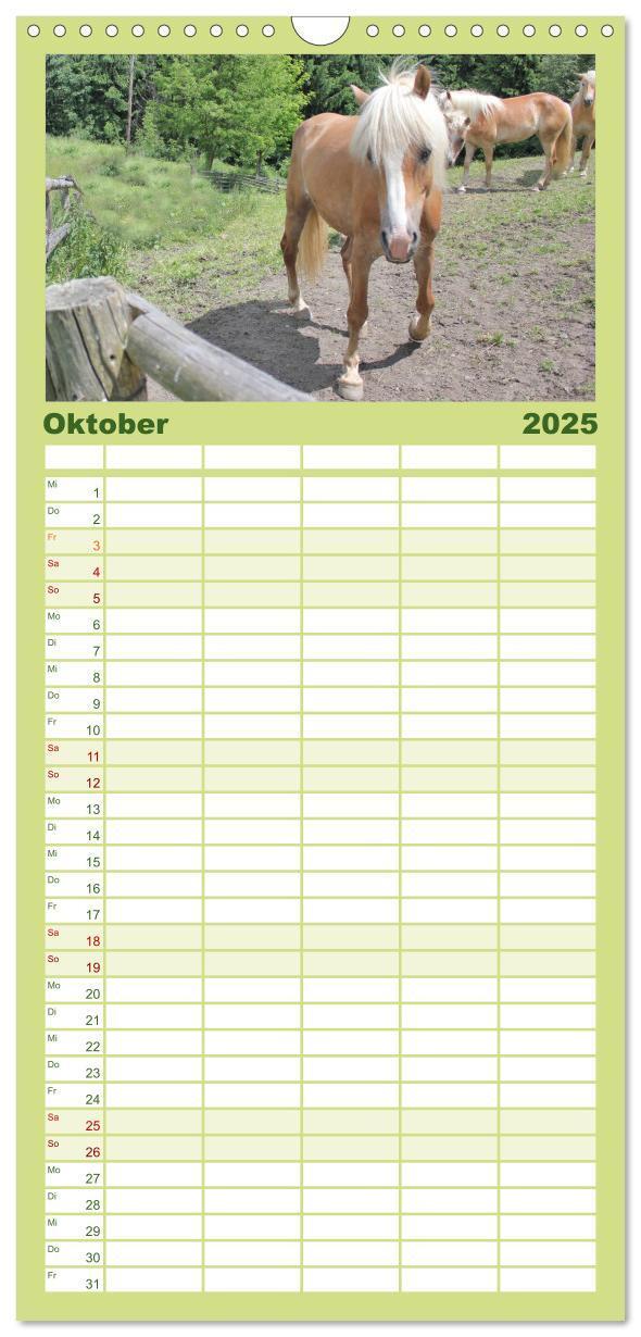 Bild: 9783457107294 | Familienplaner 2025 - Alpenpferde mit 5 Spalten (Wandkalender, 21 x...