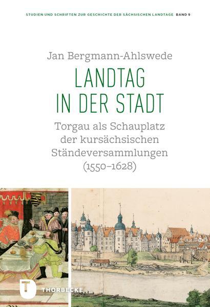 Cover: 9783799584685 | Landtag in der Stadt | Jan Bergmann-Ahlswede | Buch | Deutsch | 2021