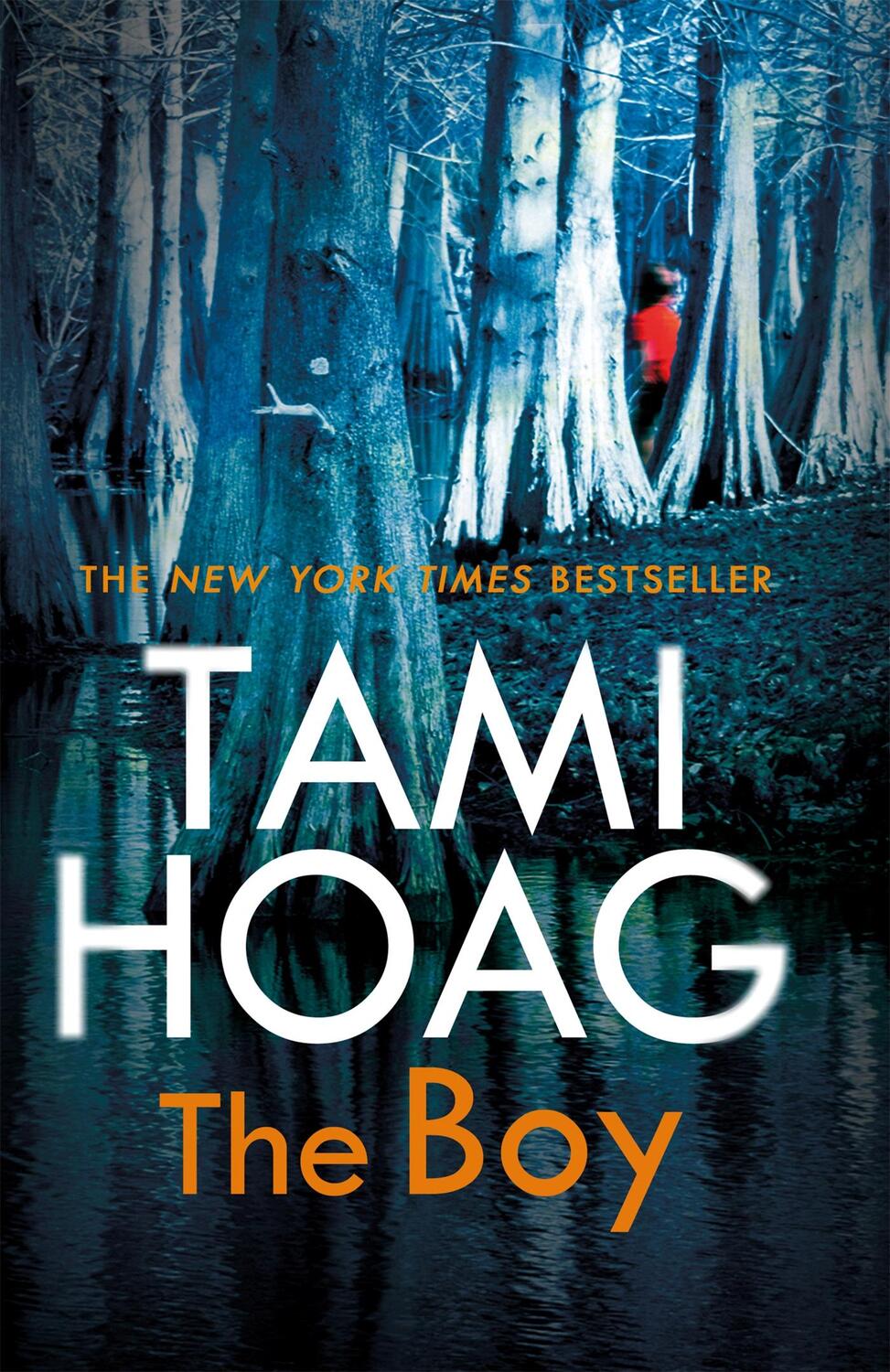 Cover: 9781409169642 | The Boy | The new thriller from the Sunday Times bestseller | Hoag