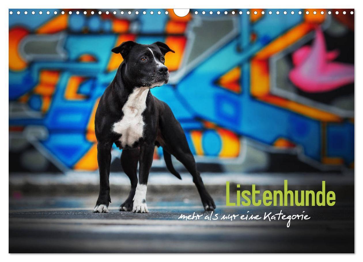 Cover: 9783675570344 | Listenhunde - mehr als nur eine Kategorie (Wandkalender 2024 DIN A3...