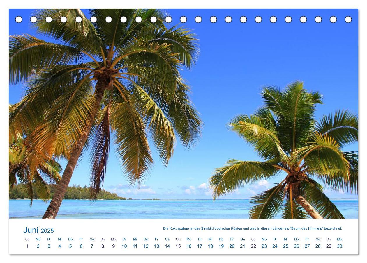 Bild: 9783435531295 | Südsee-Insel Mo'orea (Tischkalender 2025 DIN A5 quer), CALVENDO...