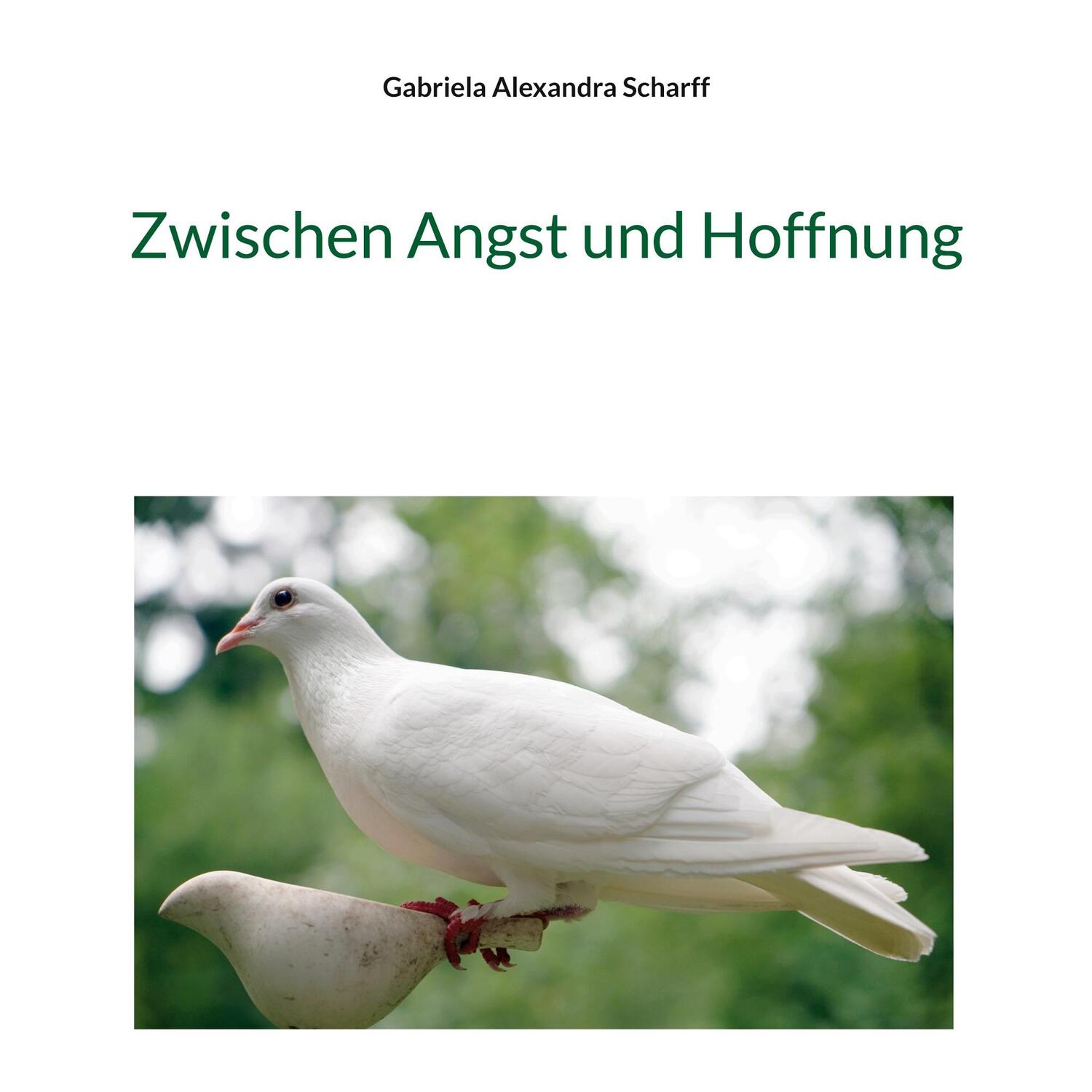 Cover: 9783734719257 | Zwischen Angst und Hoffnung | Gabriela Alexandra Scharff | Taschenbuch