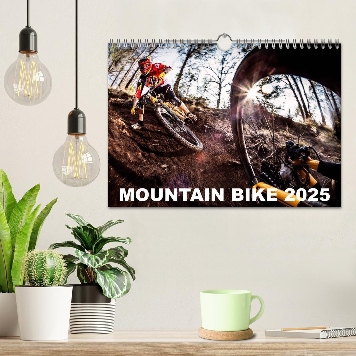 Bild: 9781325995752 | Mountain Bike 2025 by Stef. Candé / UK-Version (Wall Calendar 2025...